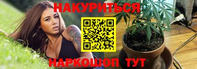 шишки Лесосибирск