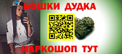 шишки Лесосибирск