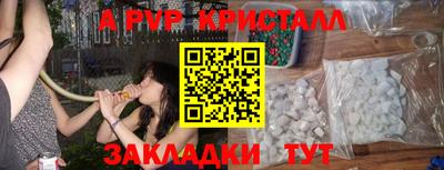 шишки Лесосибирск