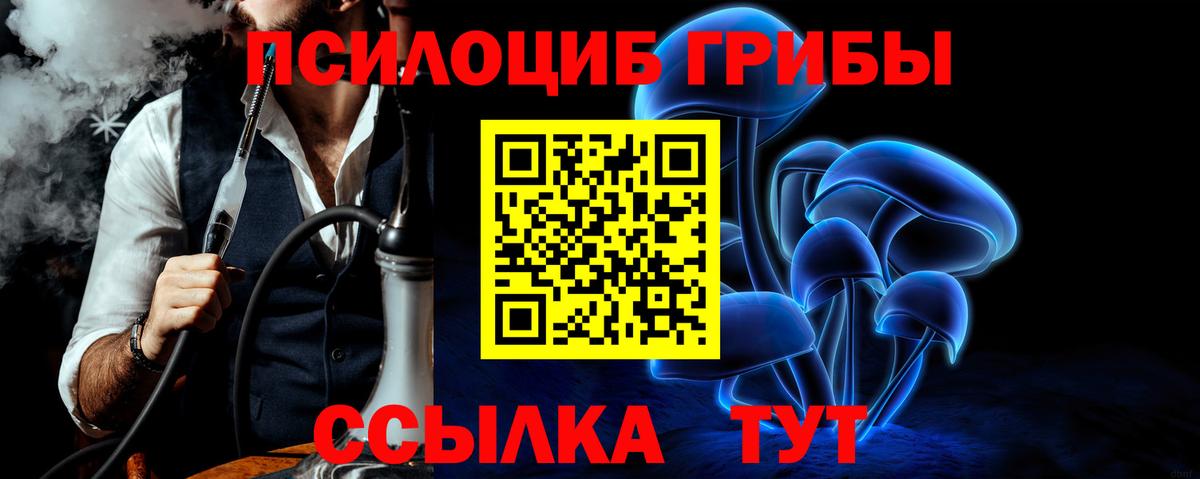 Псилоцибиновые грибы GOLDEN TEACHER  Вход с VPN  наркошоп  Еманжелинск 